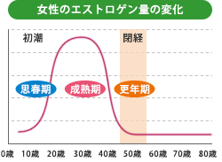 女性ホルモン